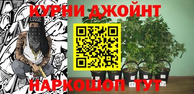 ГАЛЛЮЦИНОГЕННЫЕ ГРИБЫ Кулебаки