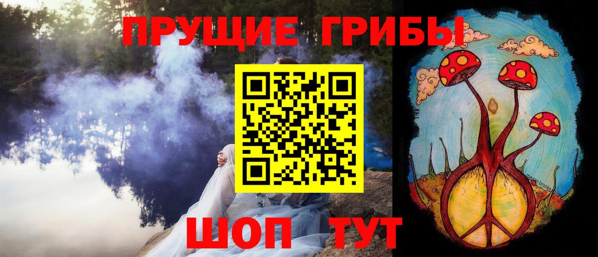 Киселёвск  Псилоцибиновые грибы прущие грибы  Вход с VPN 