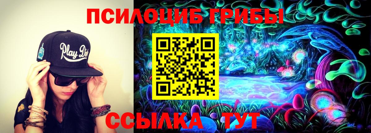 НБОМе  Экстази  Где продают наркотики?  Вход с VPN  Гашиш  Киселёвск  Меф МЯУ МЯУ   Гашиш 